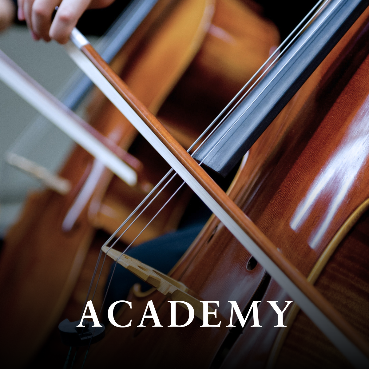 academy by bbico brand